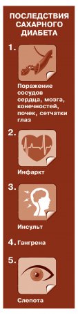 Инсулиновая жизнь Инсулиновая жизнь